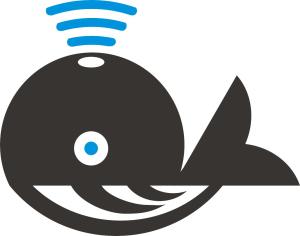 河南千魚網(wǎng)絡(luò)科技