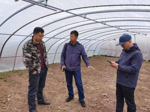 百期網(wǎng)課開(kāi)新局，科技助農(nóng)譜新篇——市農(nóng)業(yè)科學(xué)院“學(xué)史力行慶華誕”網(wǎng)絡(luò)課堂圓滿(mǎn)結(jié)課